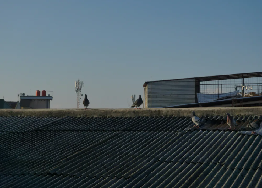Commercial Roofing MD