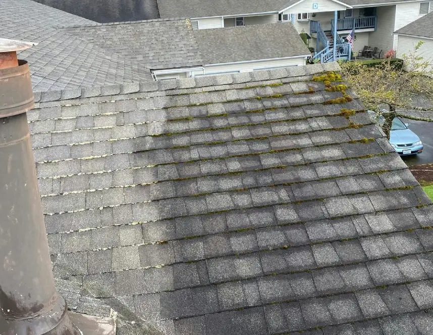 Roof conditions assesment